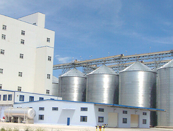 ���c�ϳ��׹���